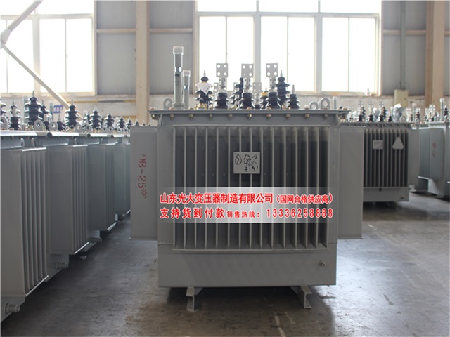 天津S22-4000KVA油浸式变压器